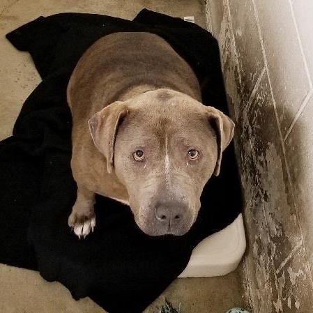 Wilma  Heartbroken photo 1