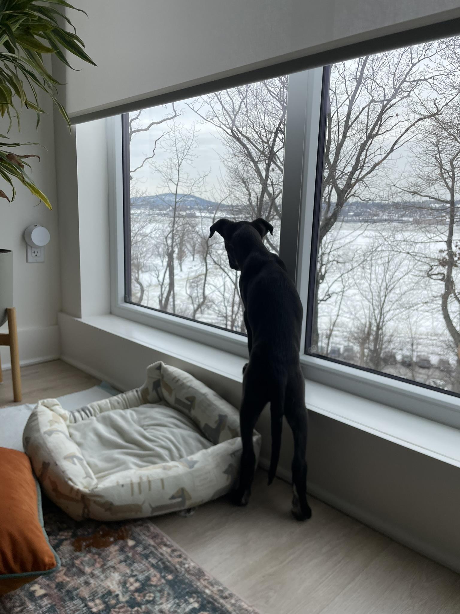 Drew — thumbnail 2