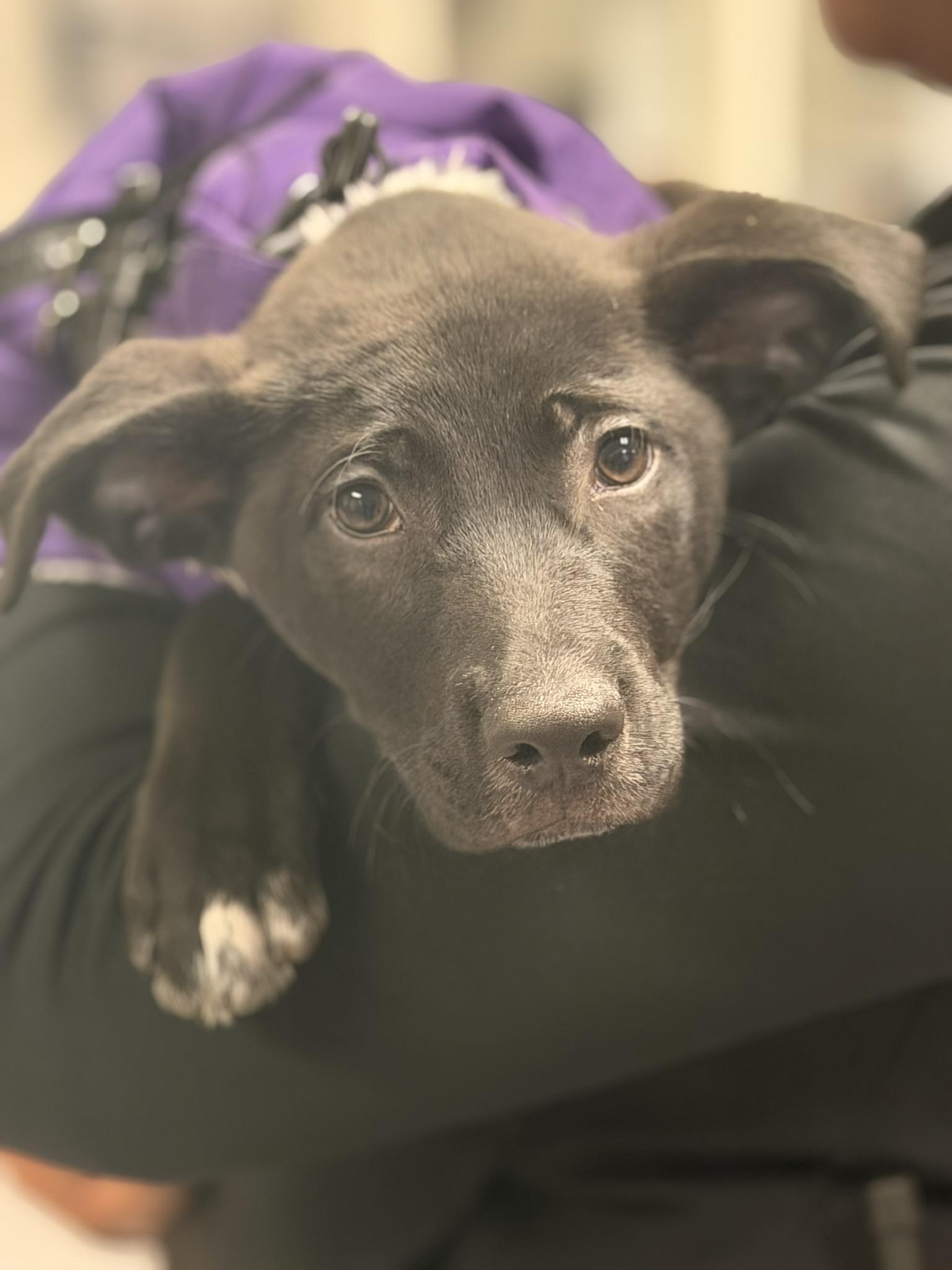 Drew — thumbnail 3