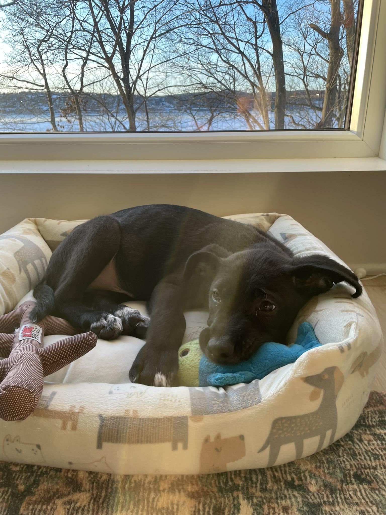 Drew — thumbnail 4