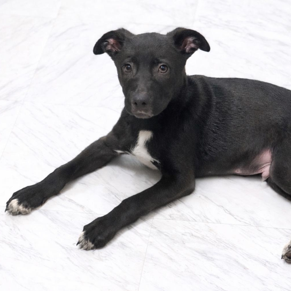 Drew — thumbnail 5