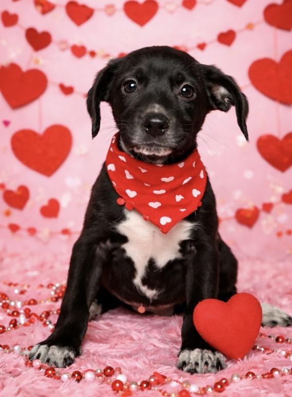 Drew — thumbnail 6