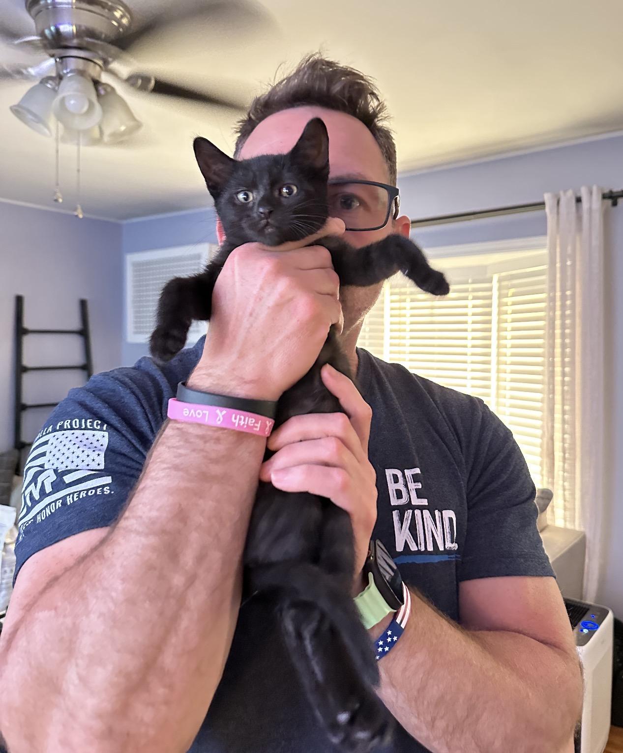Replay, Adoptable, Kitten Female Domestic Short Hair.