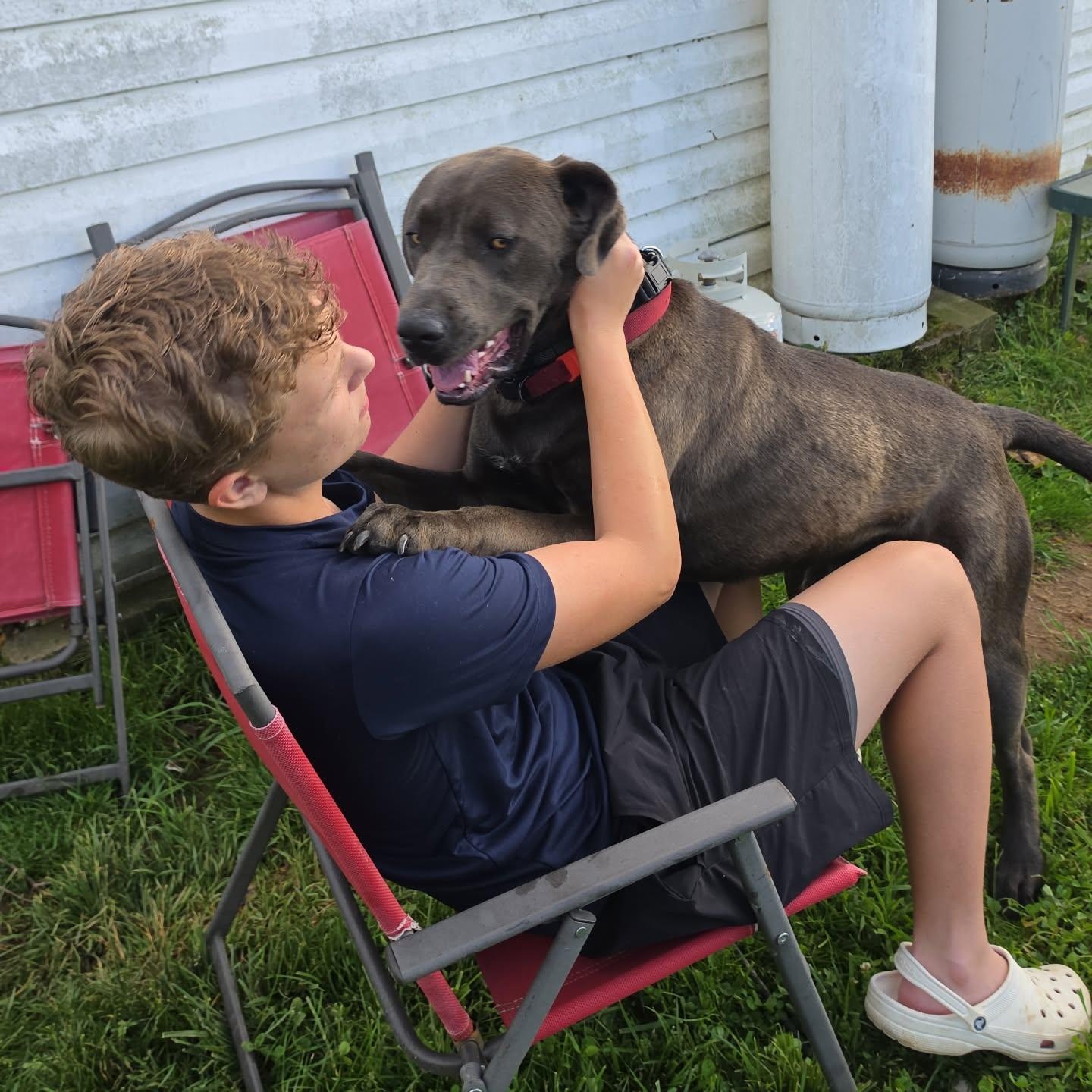 Bowser -- Community Post, a ADOPTABLE mixed breed in Floyd, VA image 5/5