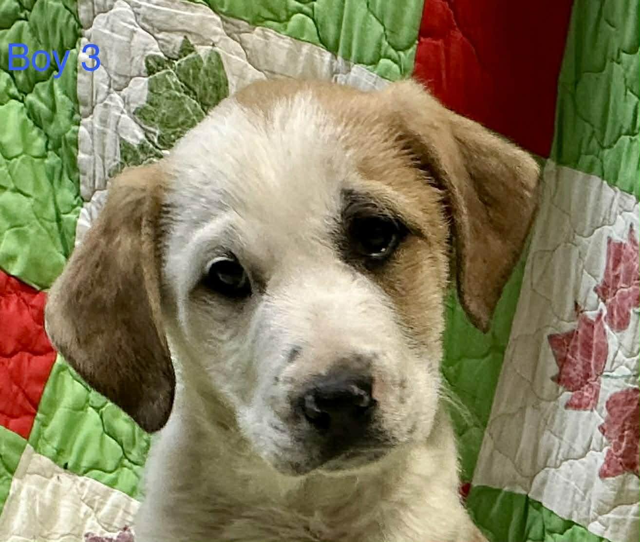 Jake Jackpot — thumbnail 4