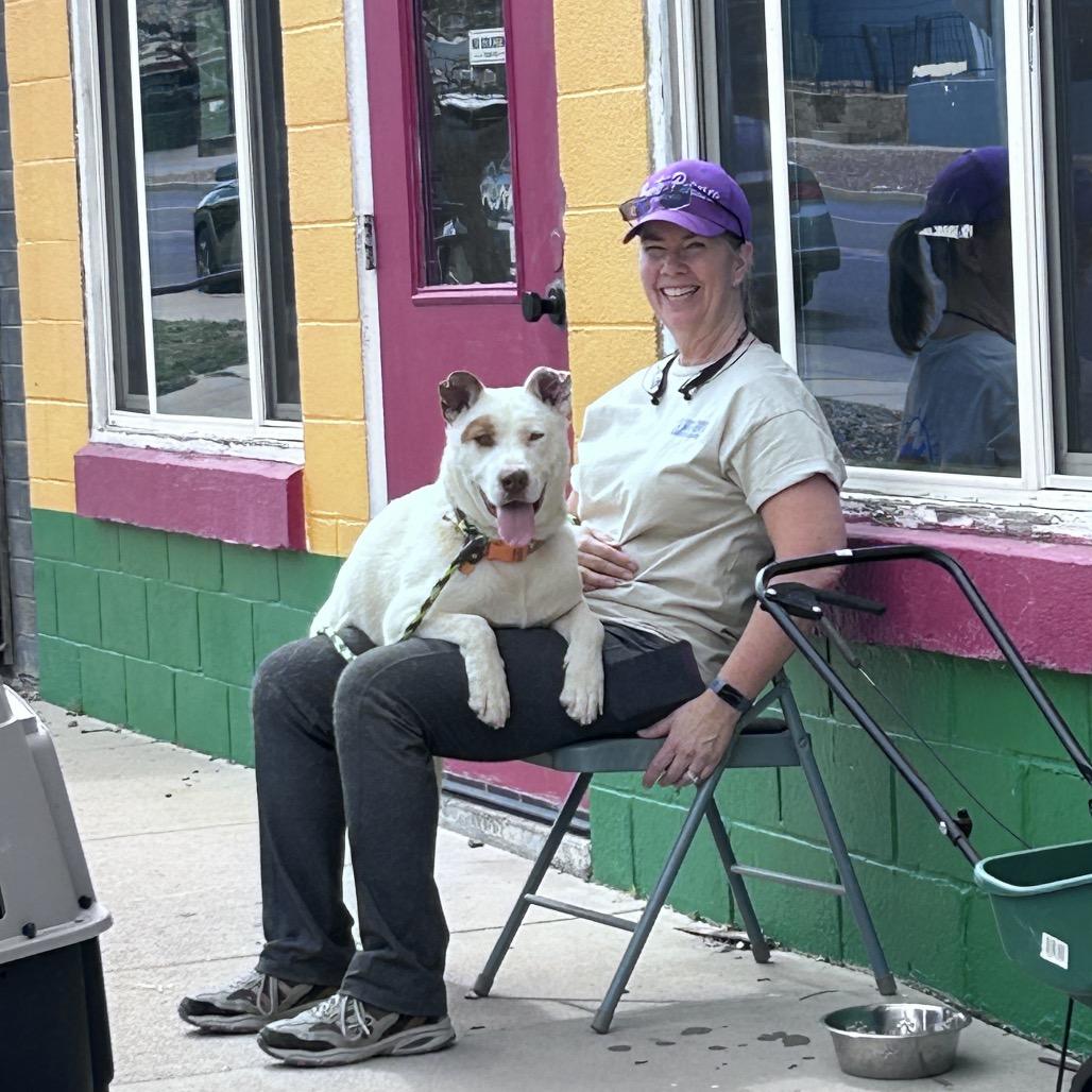 Enlarge Cowboy, a Adoptable Mixed Breed in Prescott, AZ image 5/6