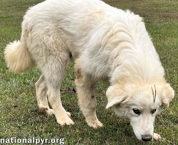 Clarence in AL - A Lover of Hugs & Snacks!