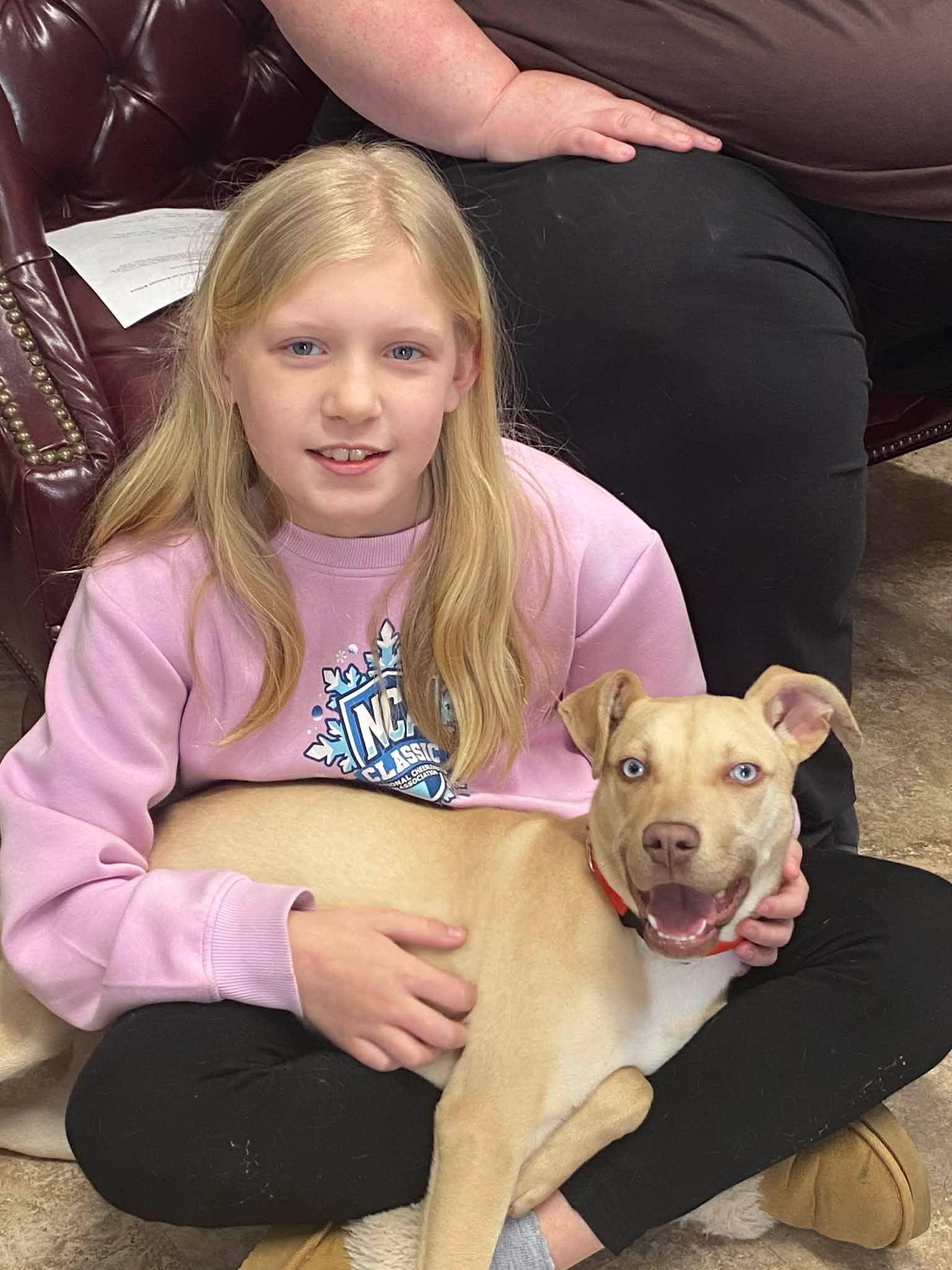 Enlarge Dolly , a ADOPTABLE mixed breed in Douglas, MA image 4/6