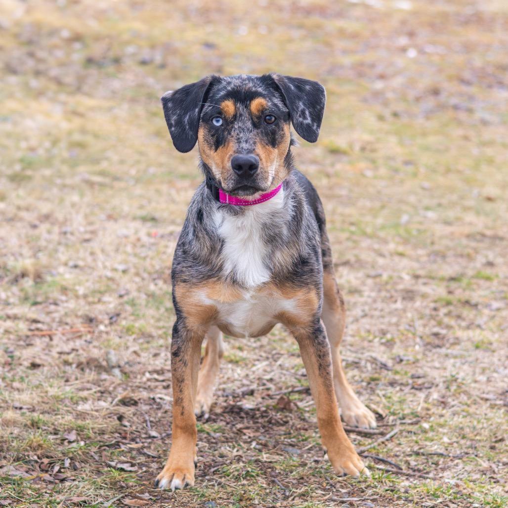 River — thumbnail 4