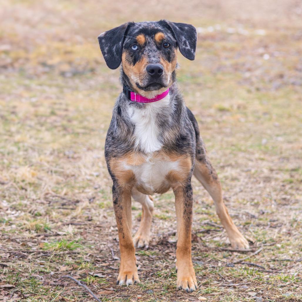 River — thumbnail 5