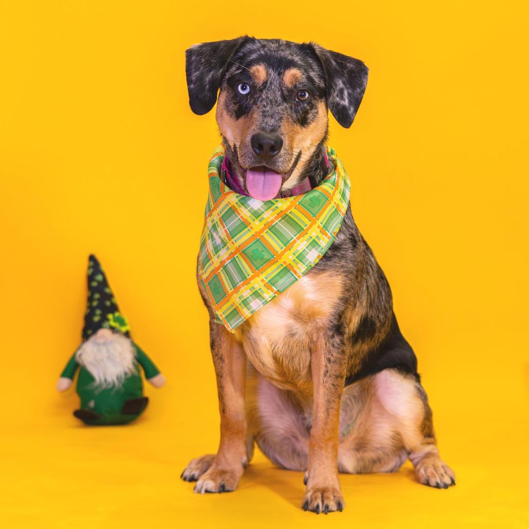 River — thumbnail 6