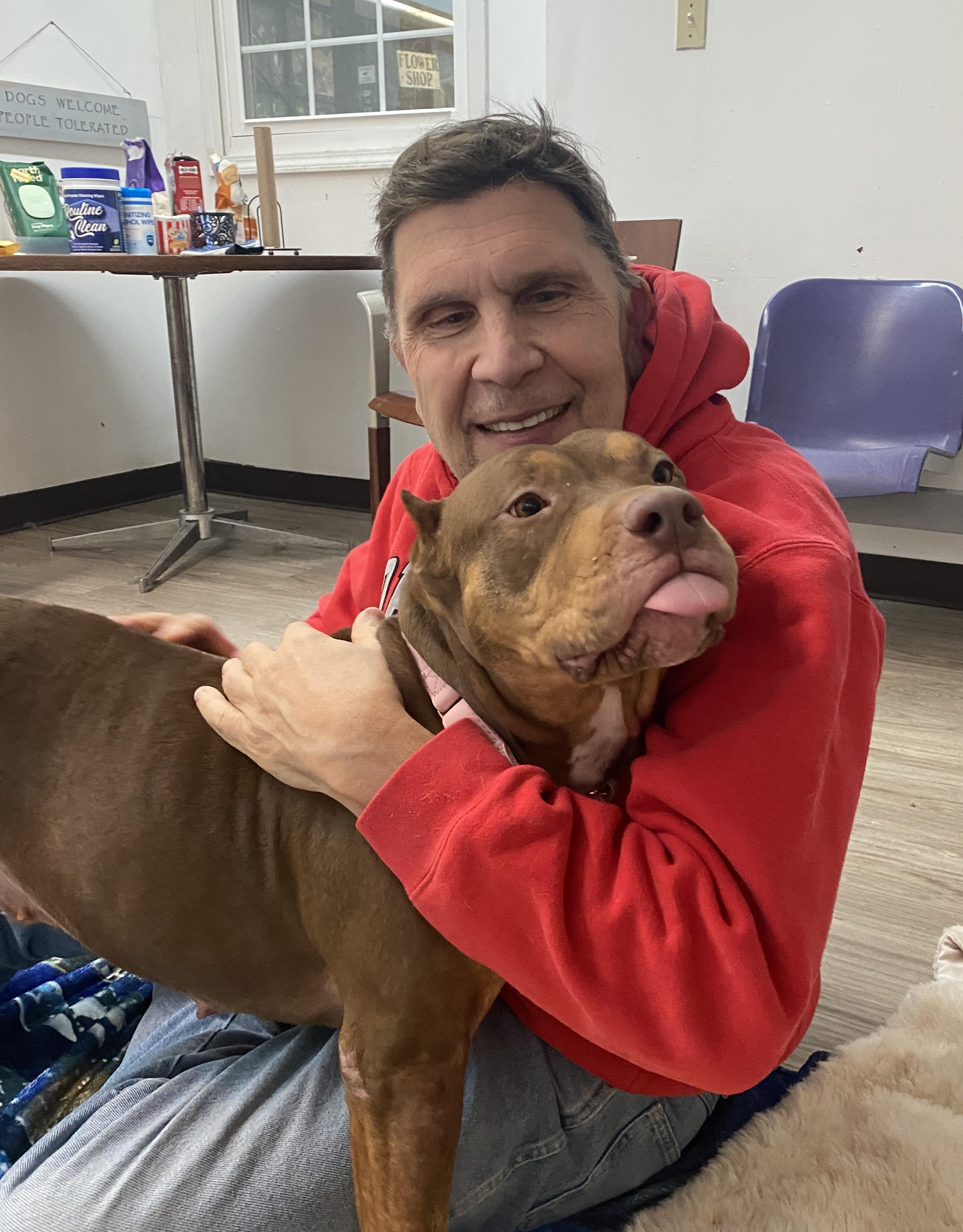 Enlarge Penelope , an adopted mixed breed in Elyria, OH image 5/6