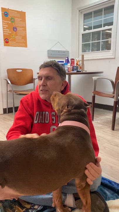 Enlarge Penelope , an adopted mixed breed in Elyria, OH video 6/6