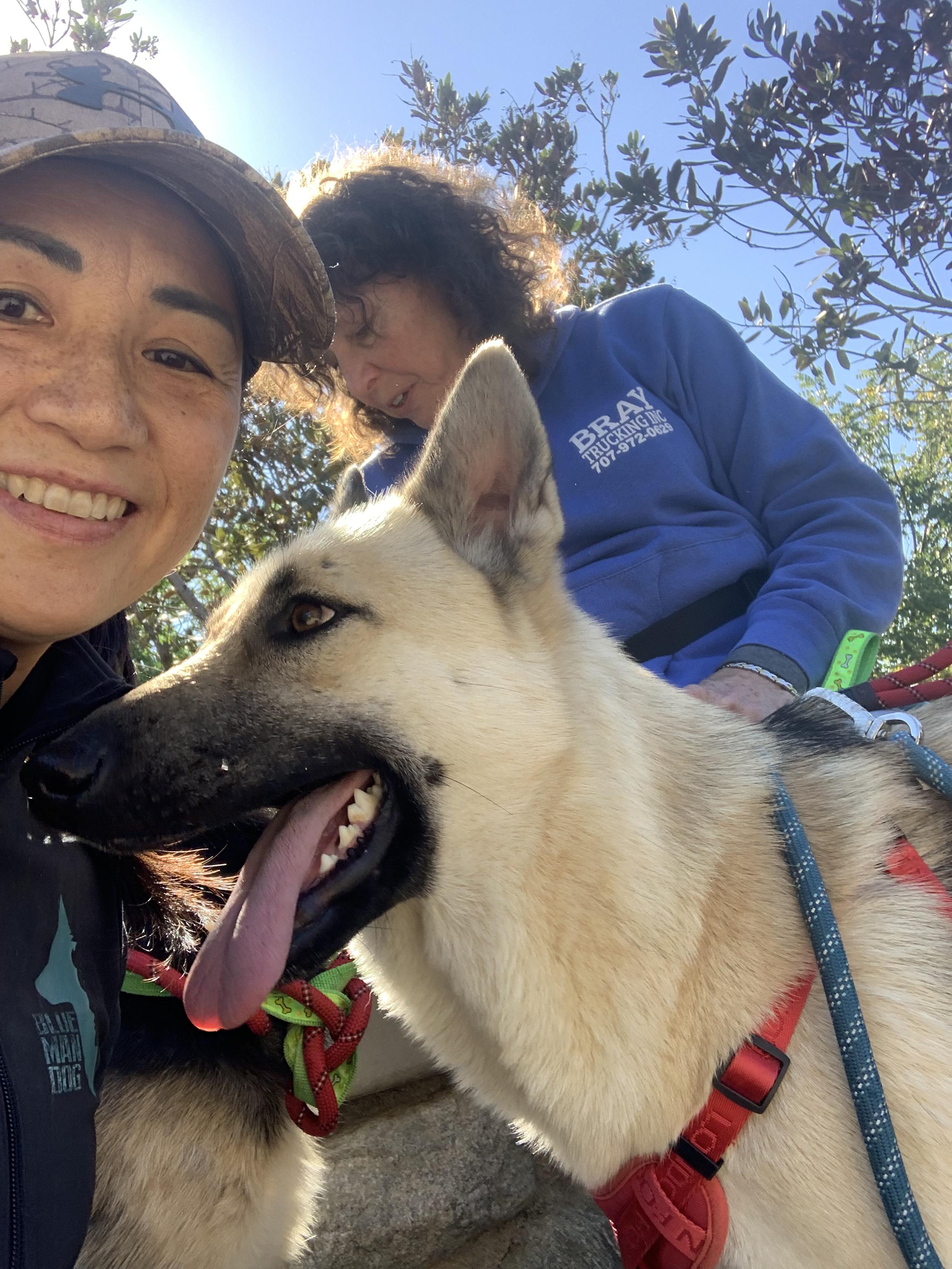 Enlarge Lunita, a Adoptable German Shepherd Dog in Burbank, CA image 2/6