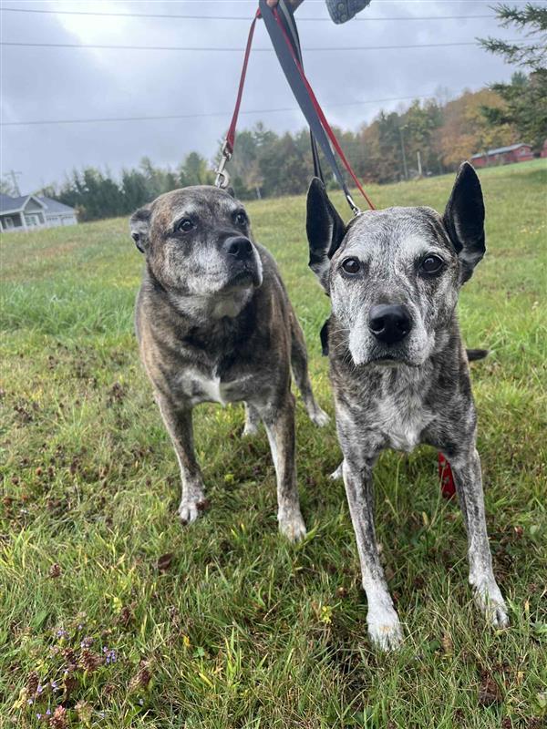 Dakota & Cheyene