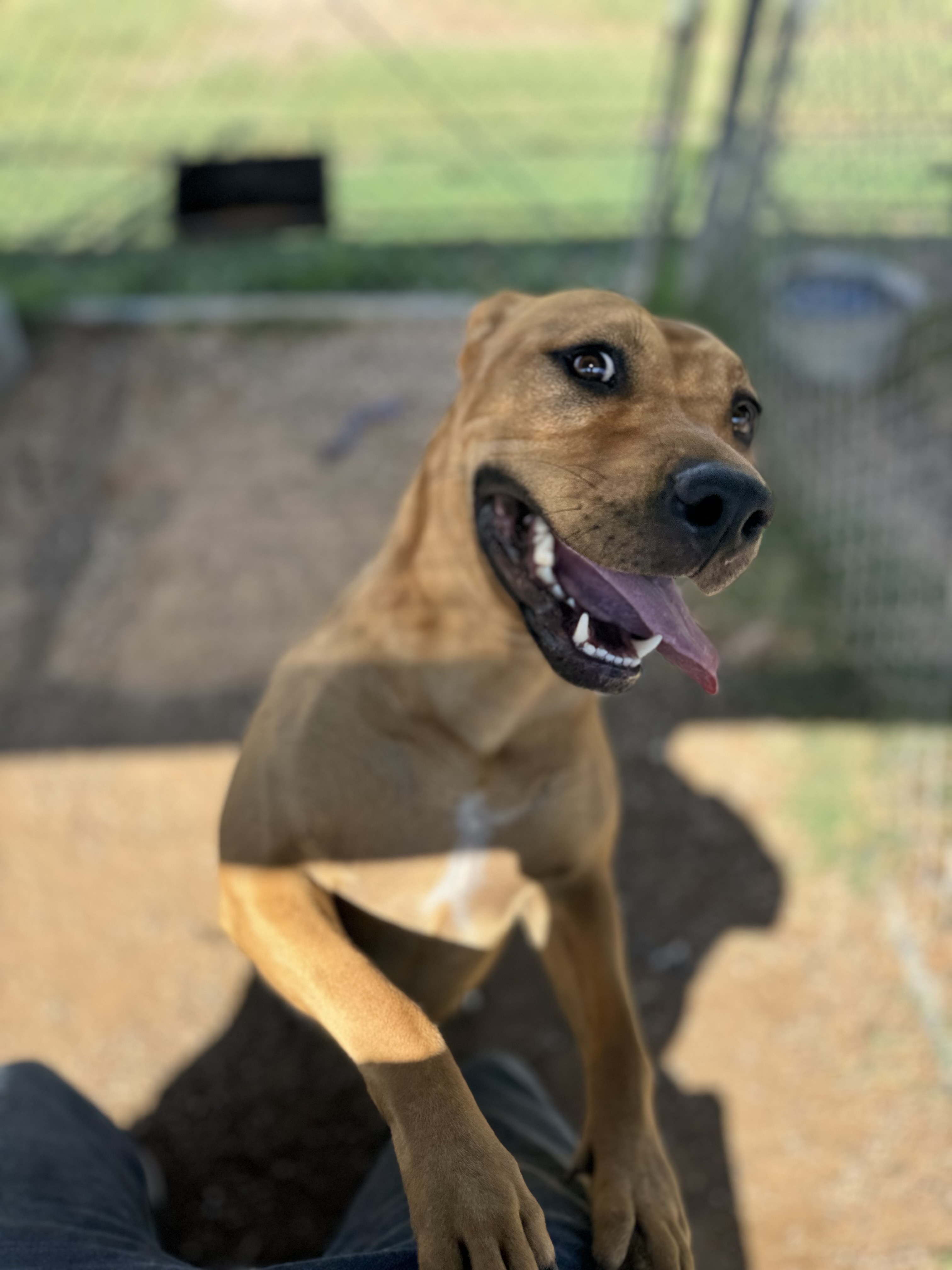 Madonna — thumbnail 2