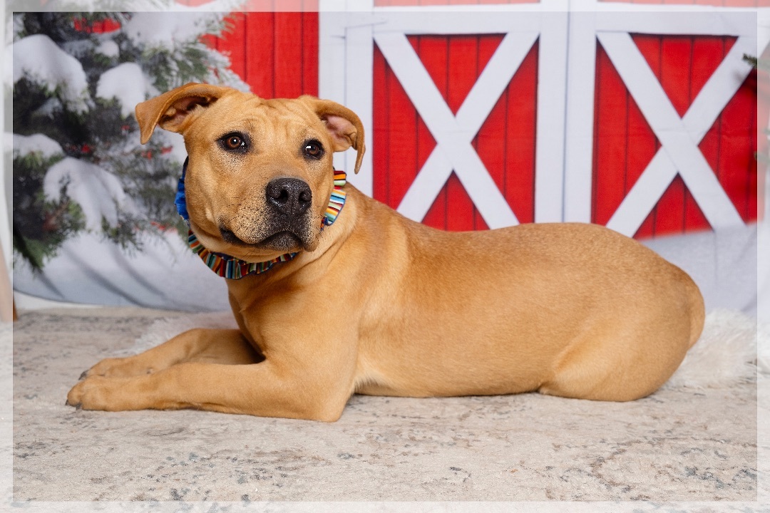 Madonna — thumbnail 4