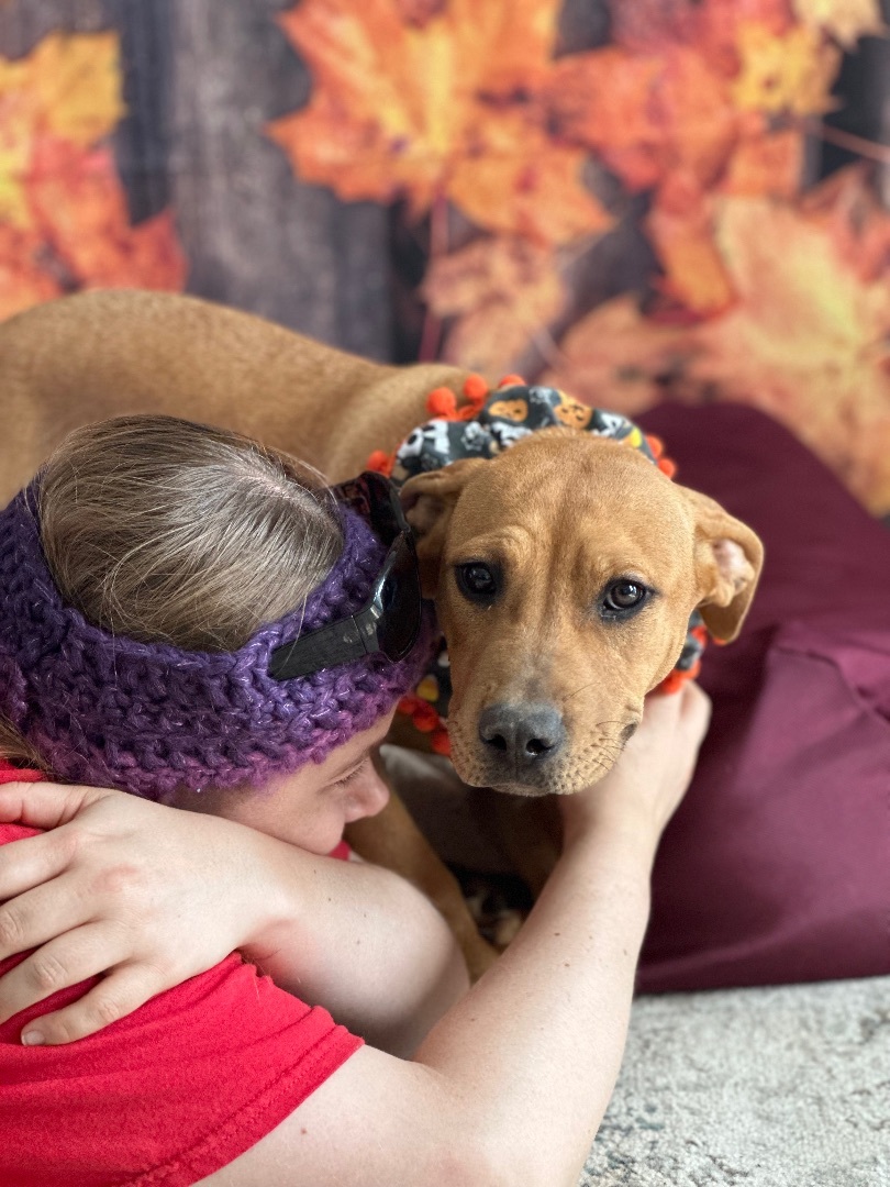 Enlarge Madonna, a Adoptable Mixed Breed in Lubbock, TX image 5/6