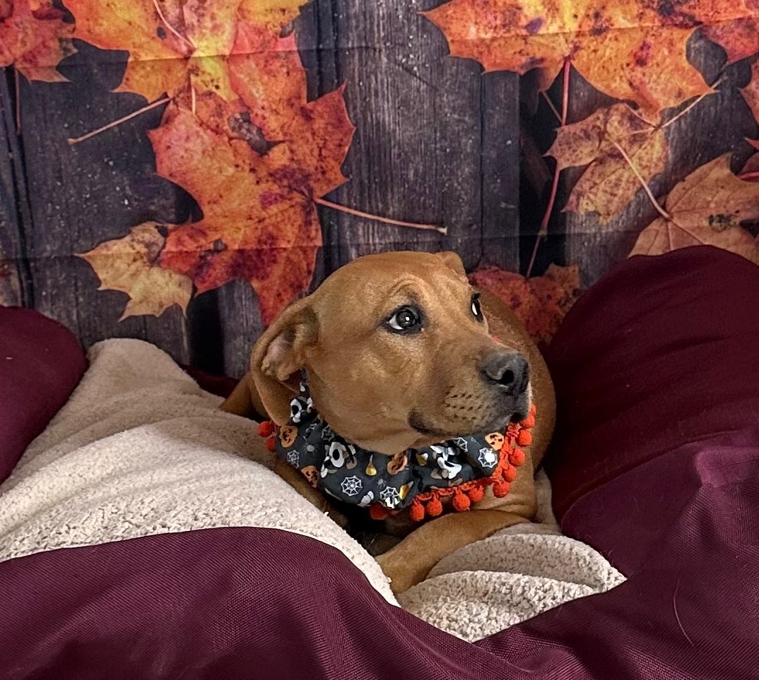 Madonna — thumbnail 6