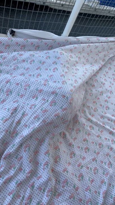 Enlarge MOONPIE, a Adoptable Dutch in San Clemente, CA video 3/5