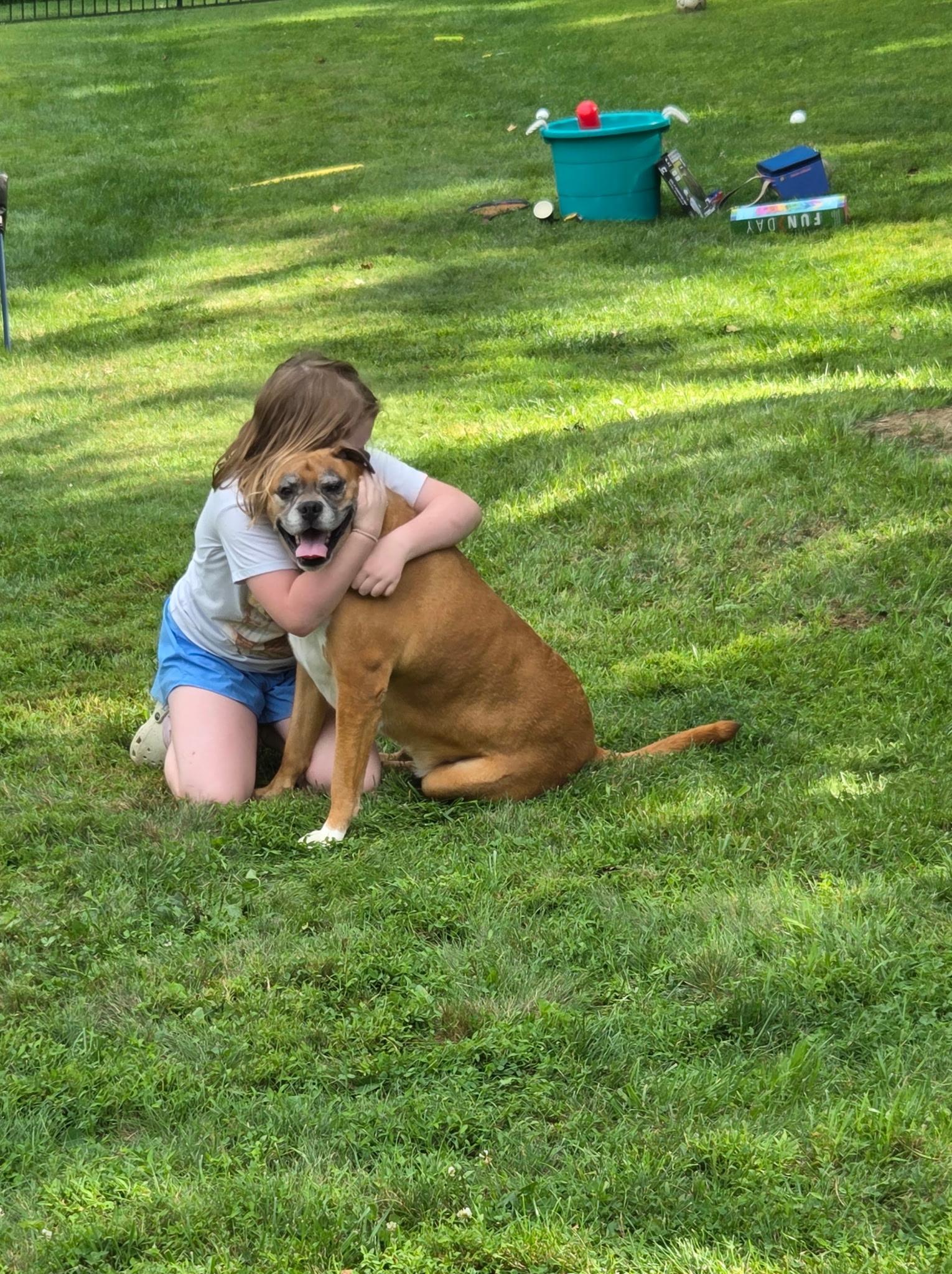 Enlarge Prince, a ADOPTABLE mixed breed in Kutztown, PA image 3/3