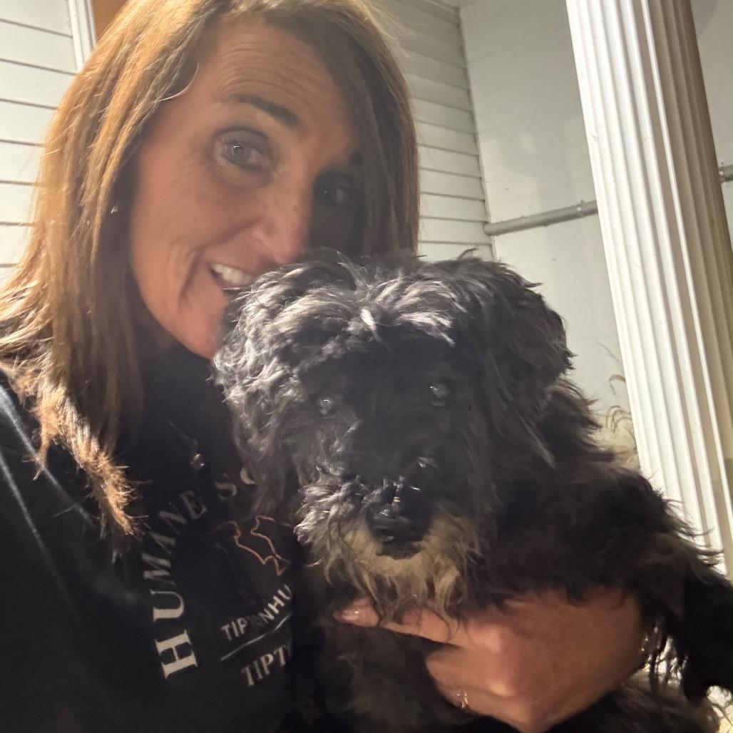 Ms. Magoo, Adoptable, Senior Female Schnauzer & Mixed Breed.