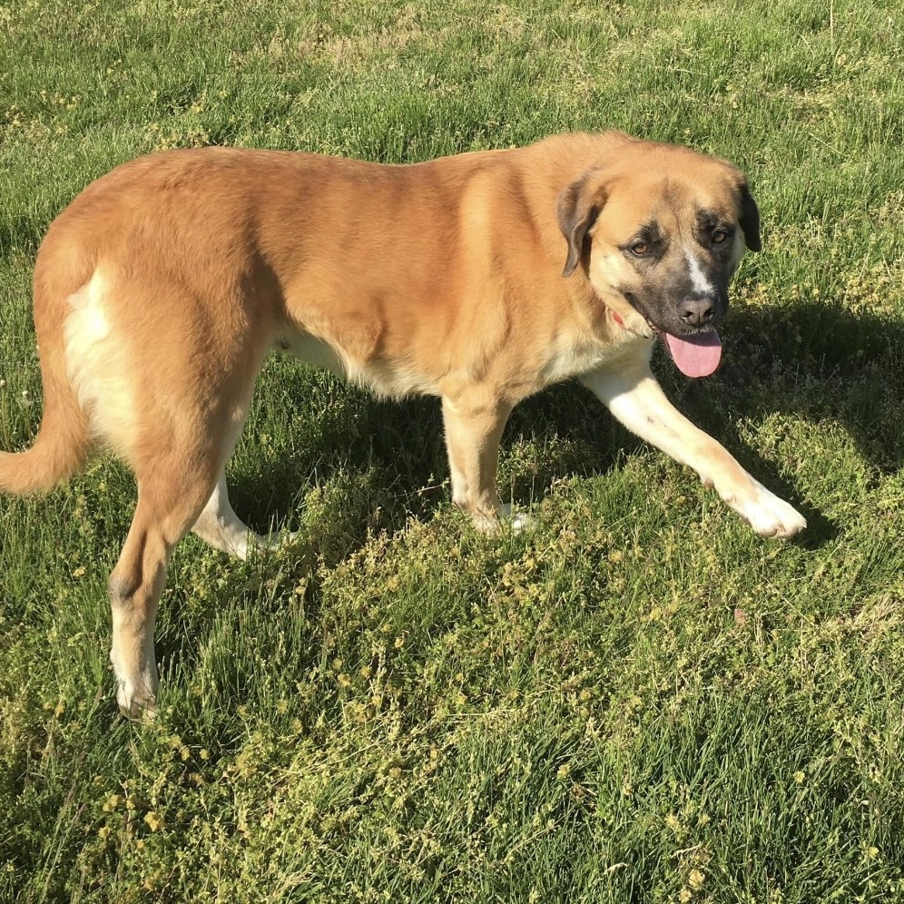 Sophie photo 6