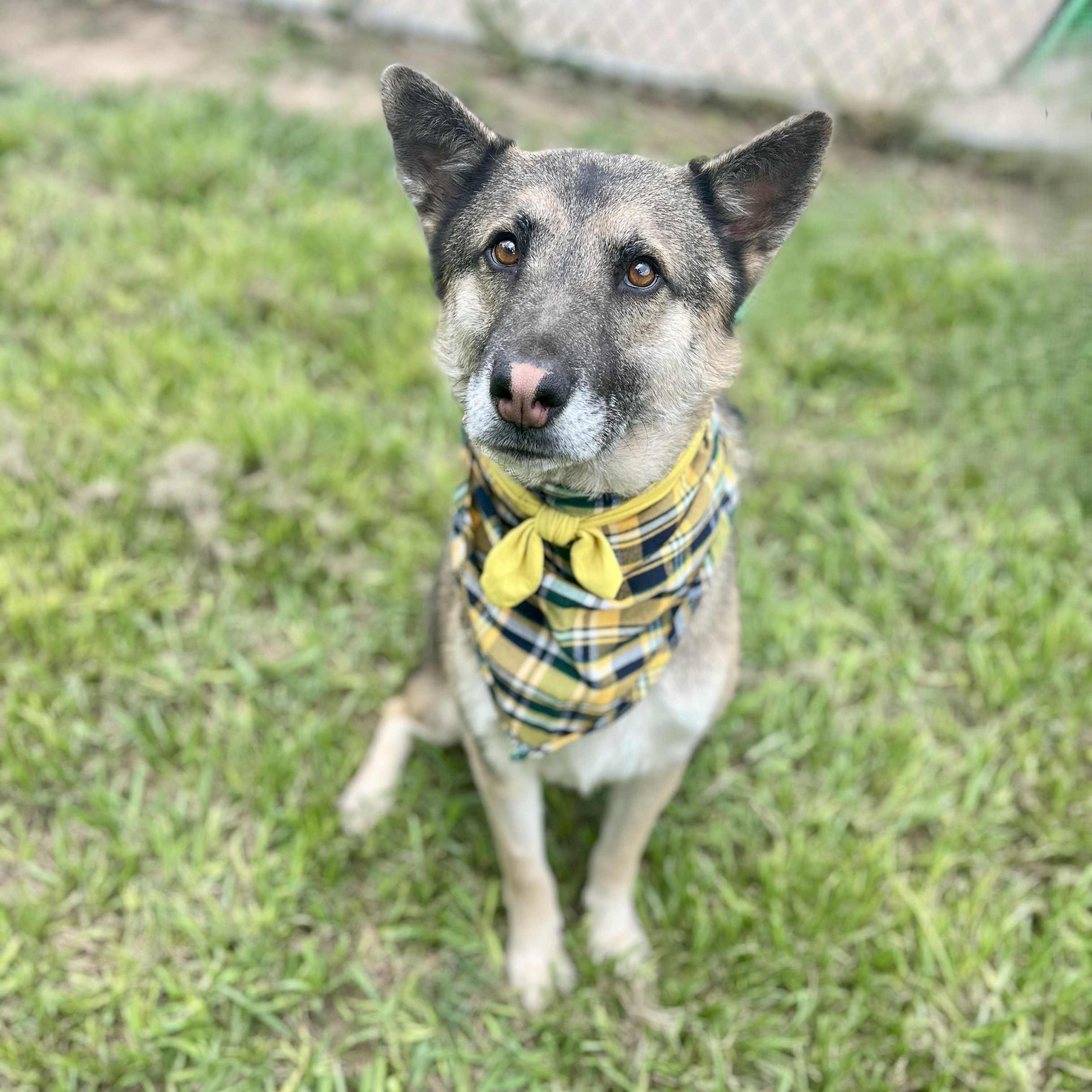 Nissan — thumbnail 3