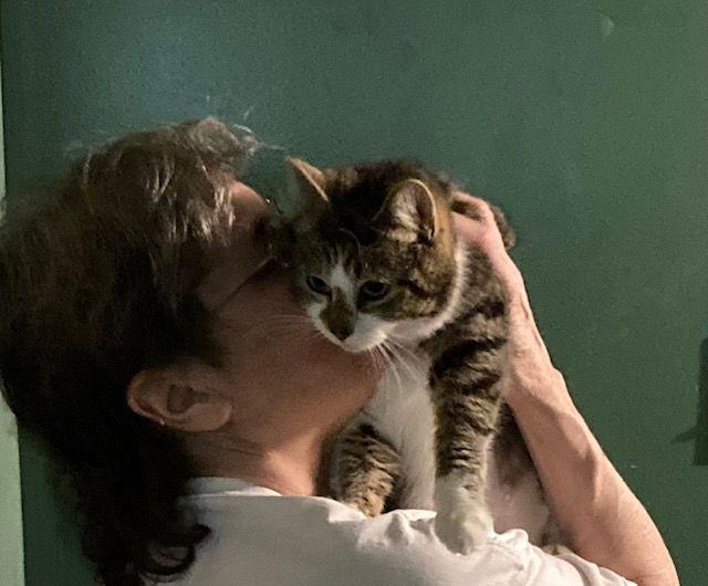 Enlarge Mallie, a Adopted mixed breed in Macedonia, OH image 2/3