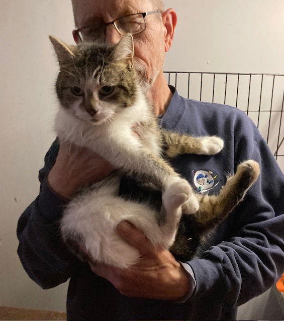 Enlarge Mallie, a Adopted mixed breed in Macedonia, OH image 3/3