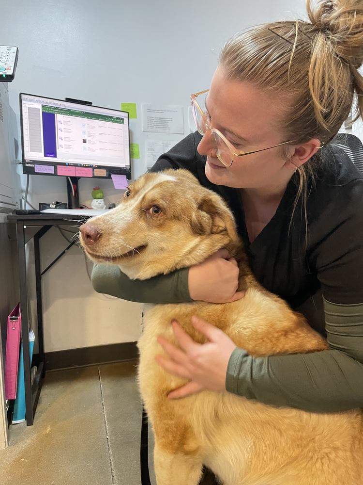 Goofy The Great thumbnail 4