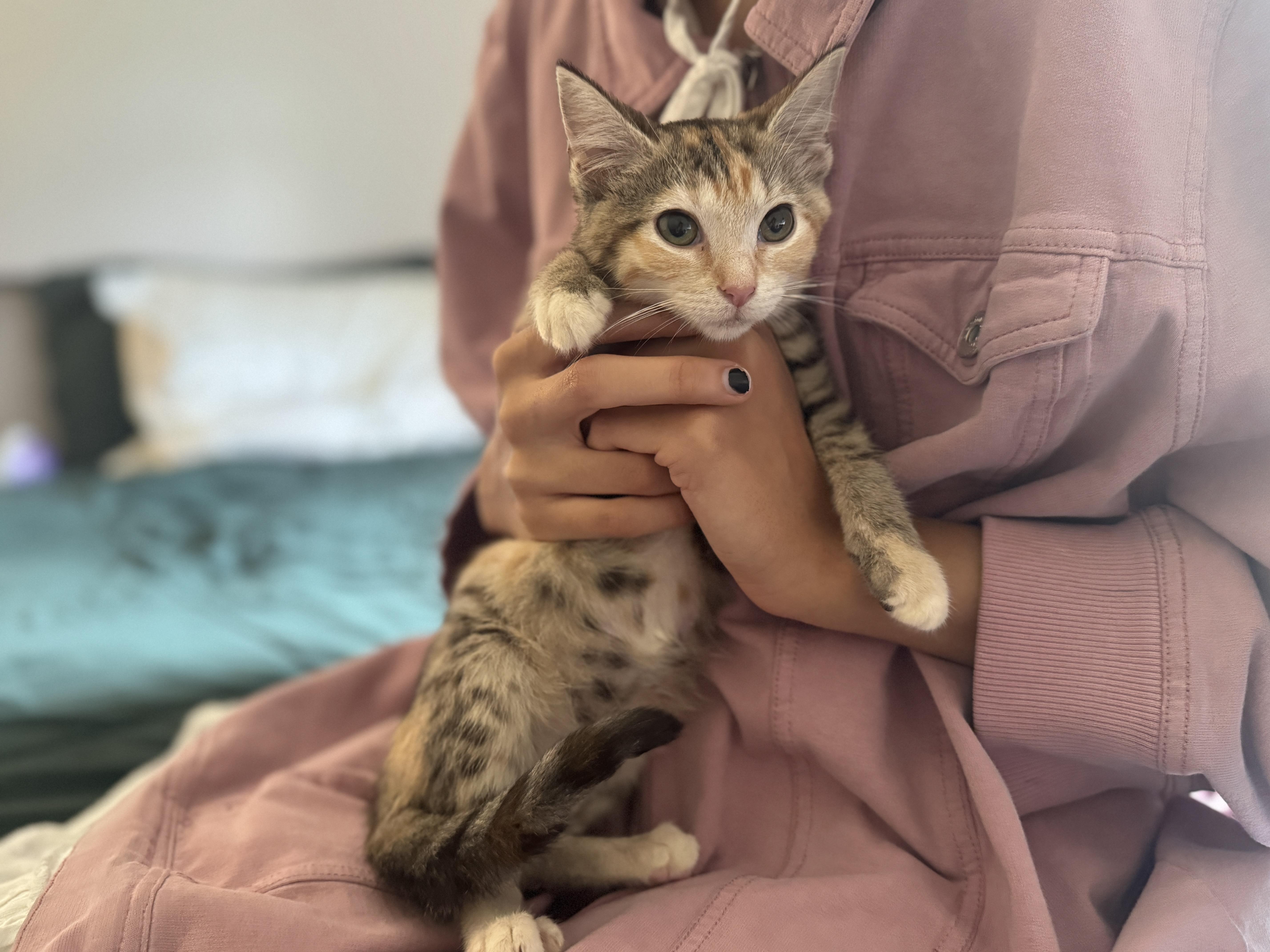 Zoomy