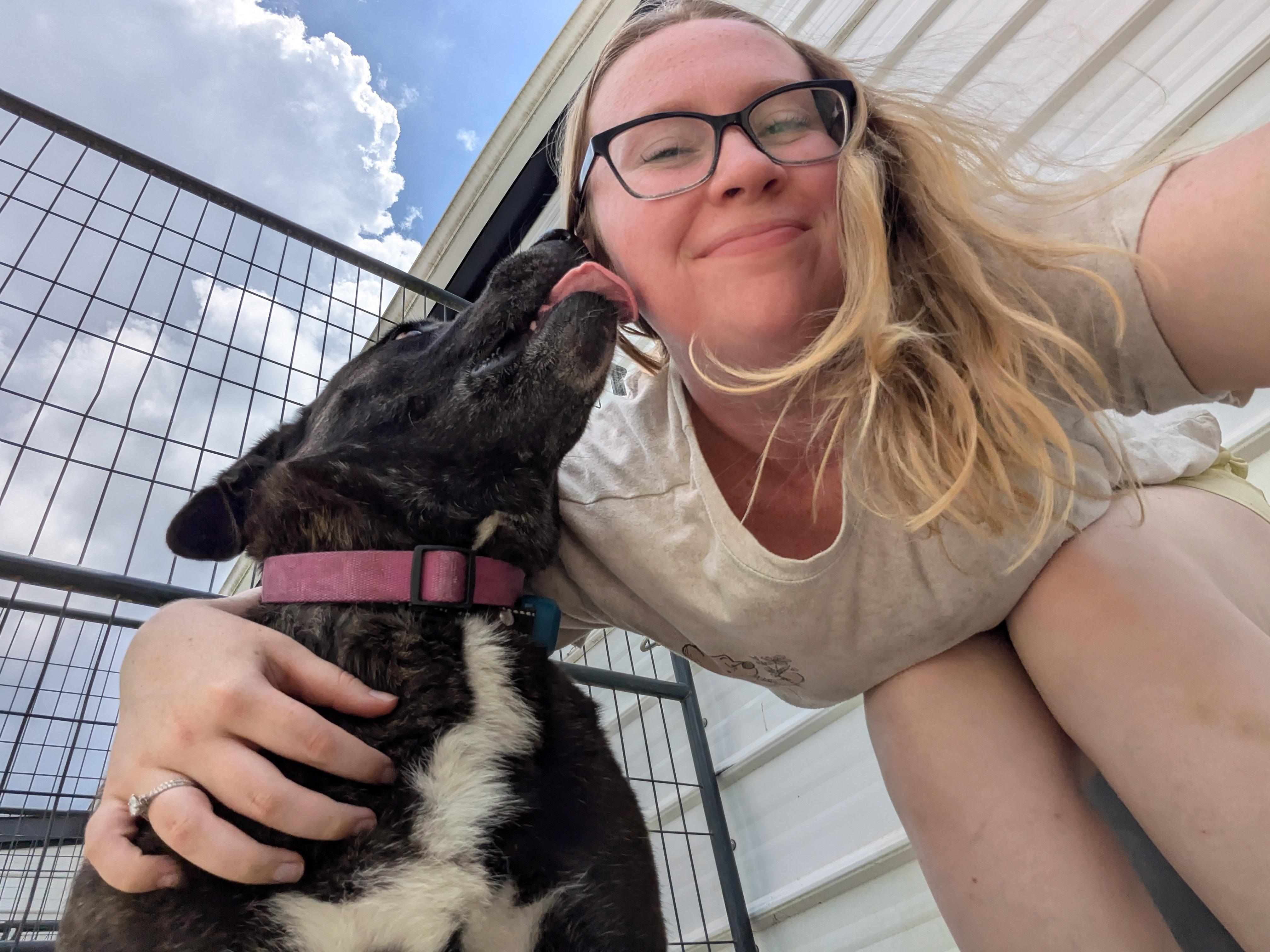 Isabelle, a Adoptable mixed breed in Covington, VA image 5/6