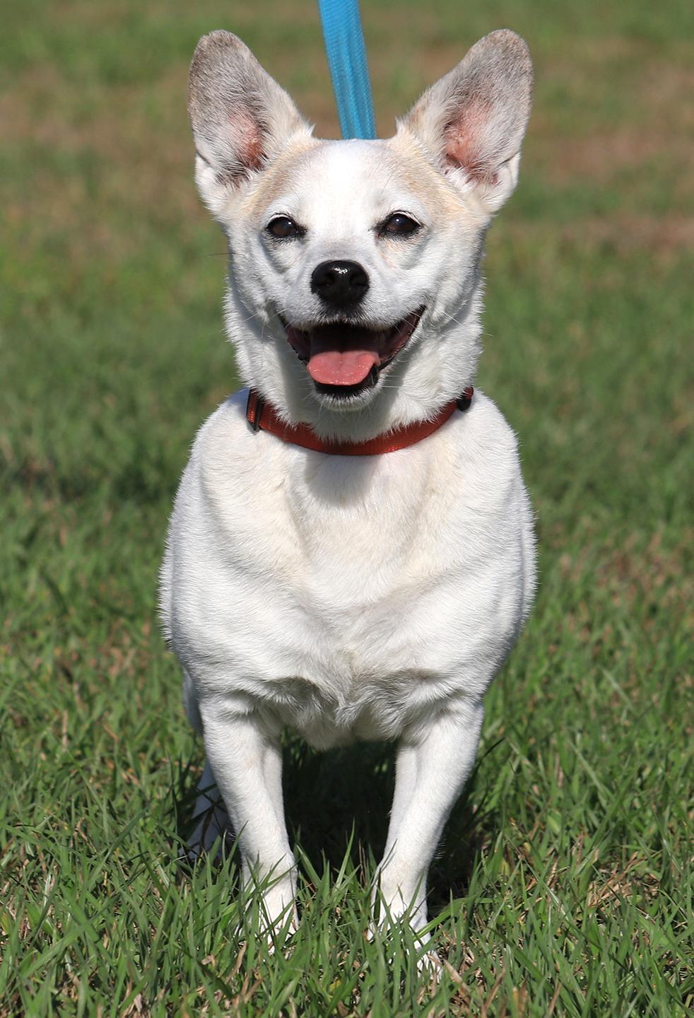 Jack, Senior Male unknown