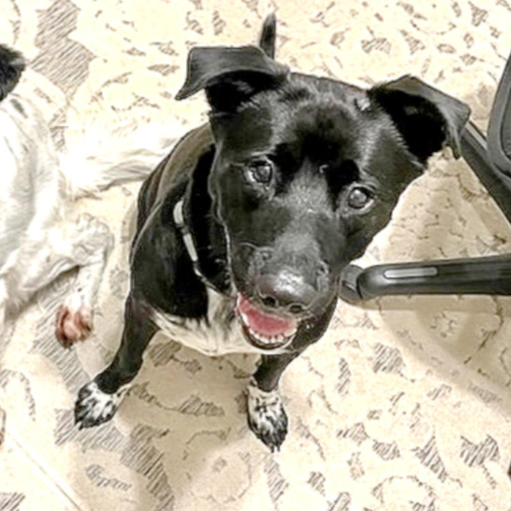 Tapper — thumbnail 2