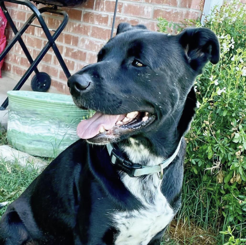 Tapper — thumbnail 3