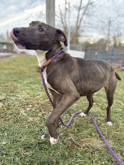 Paris — thumbnail 2