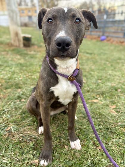 Paris — thumbnail 3