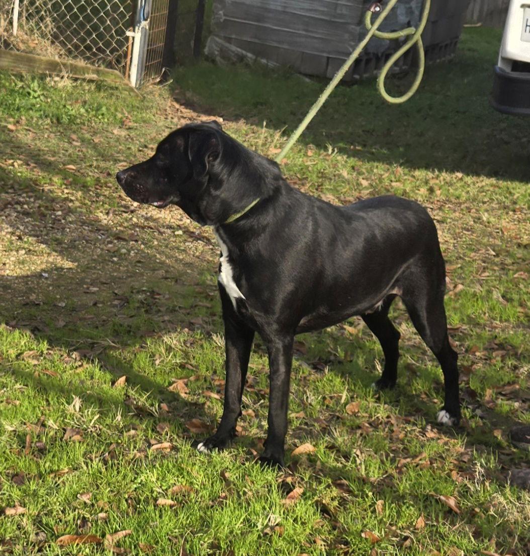 Lucky — thumbnail 3