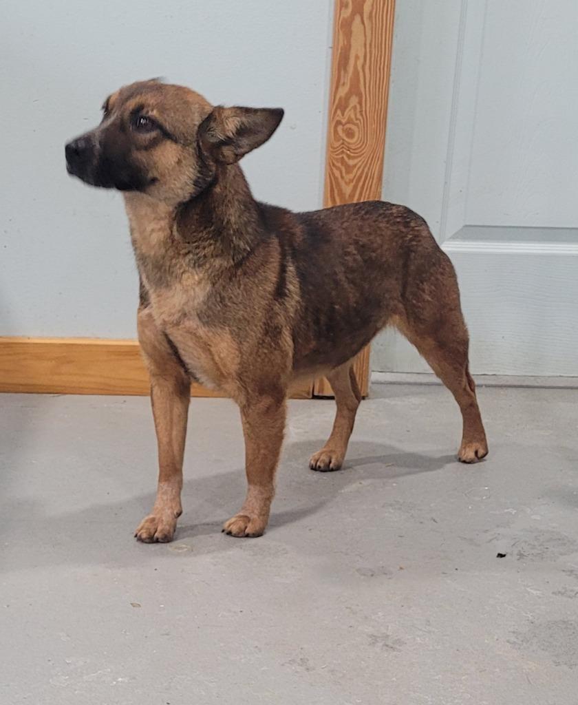 CeCe — thumbnail 2