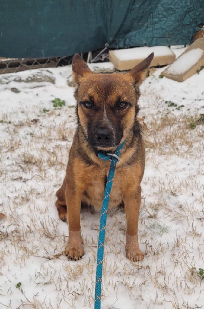 CeCe — thumbnail 3