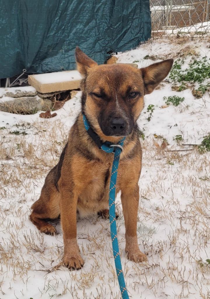 CeCe — thumbnail 5