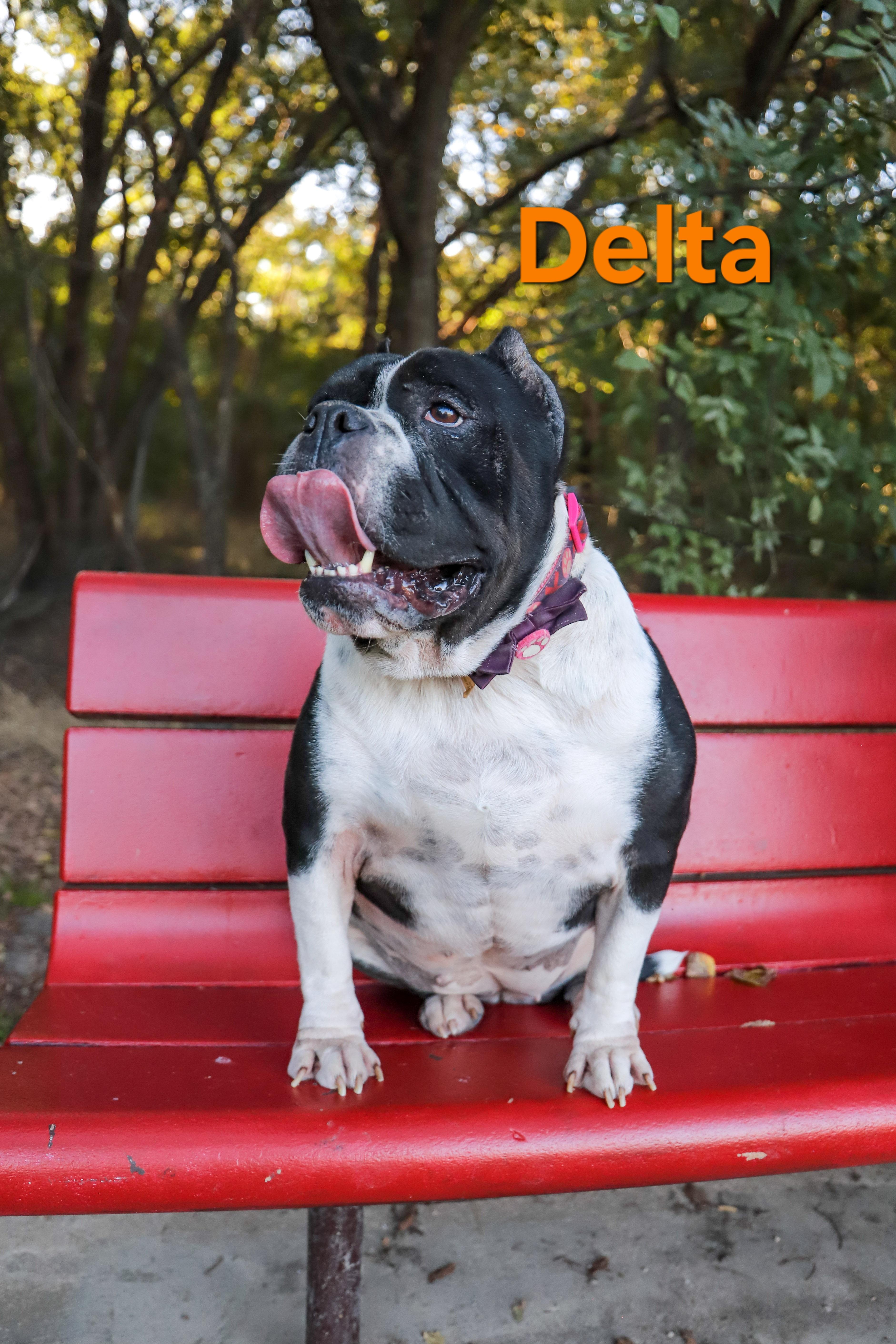 Delta