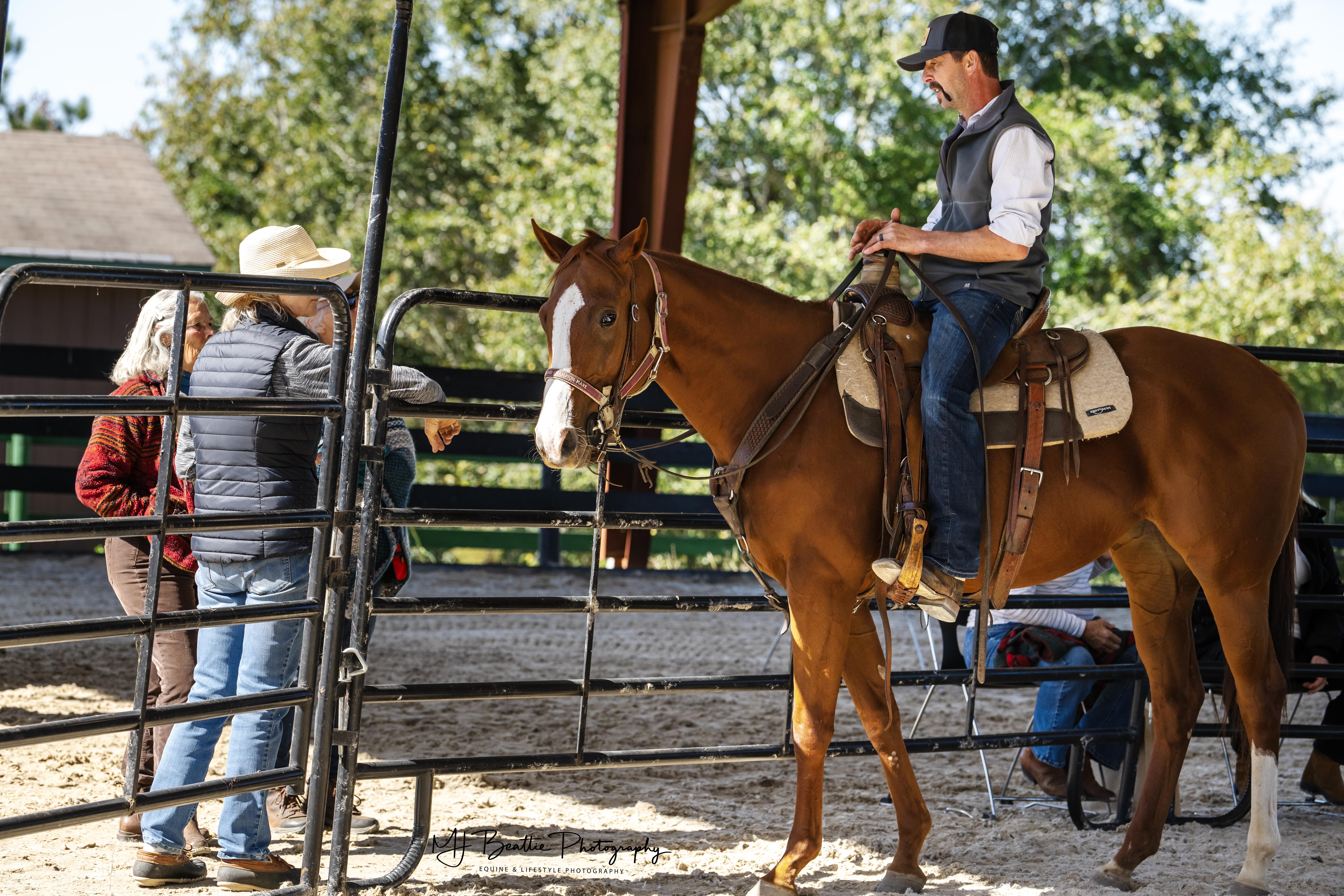 Army of Six, a Adoptable Thoroughbred in Aiken, SC image 2/5