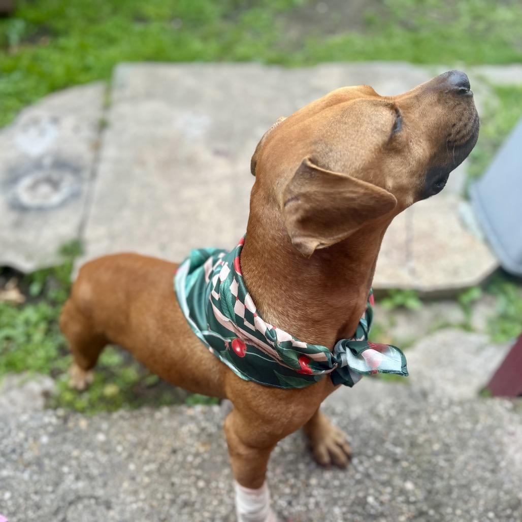 Clyde Drexel thumbnail 2