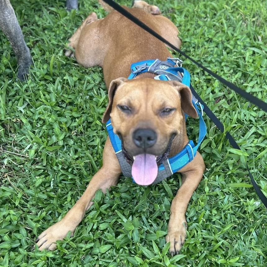 Clyde Drexel thumbnail 3