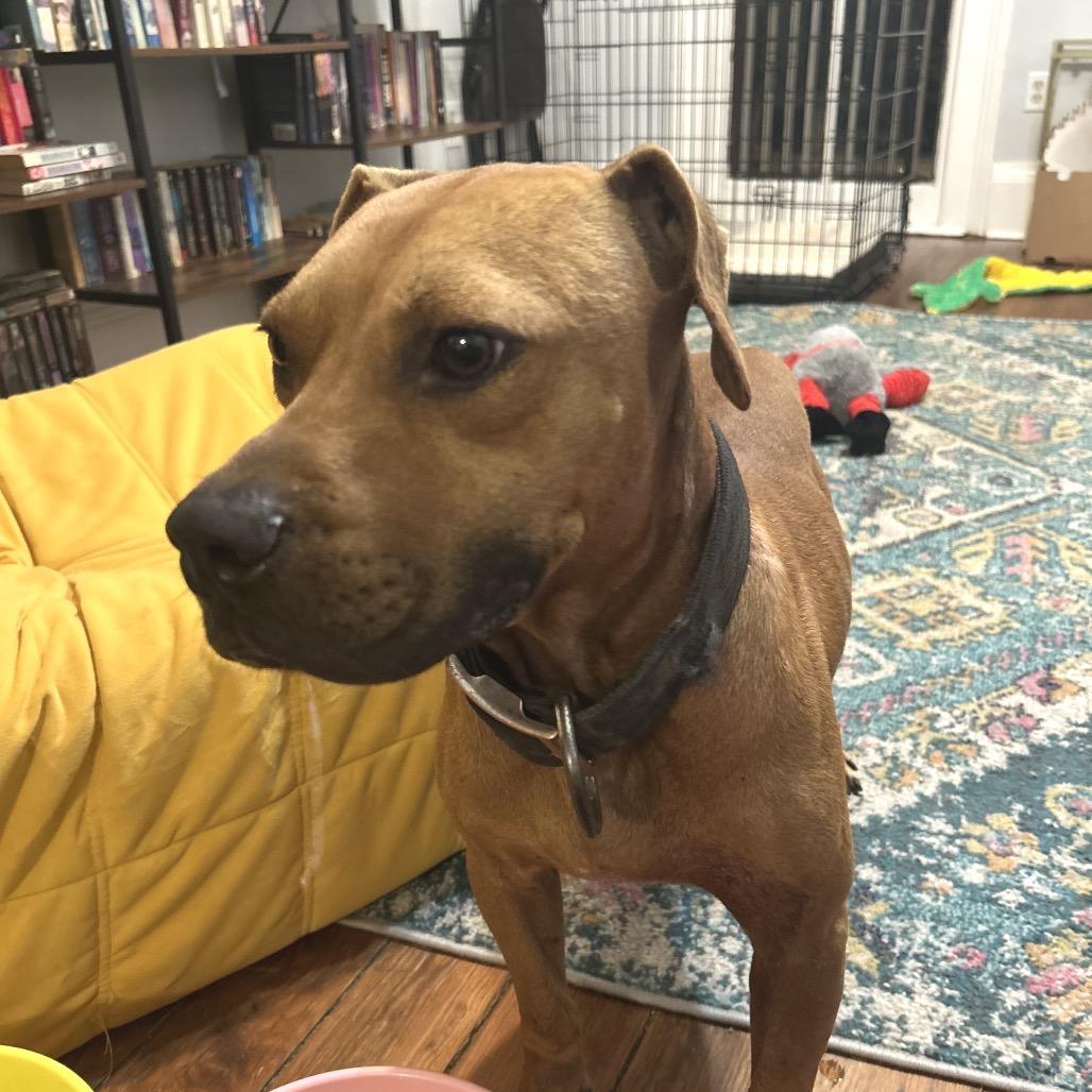 Clyde Drexel thumbnail 5