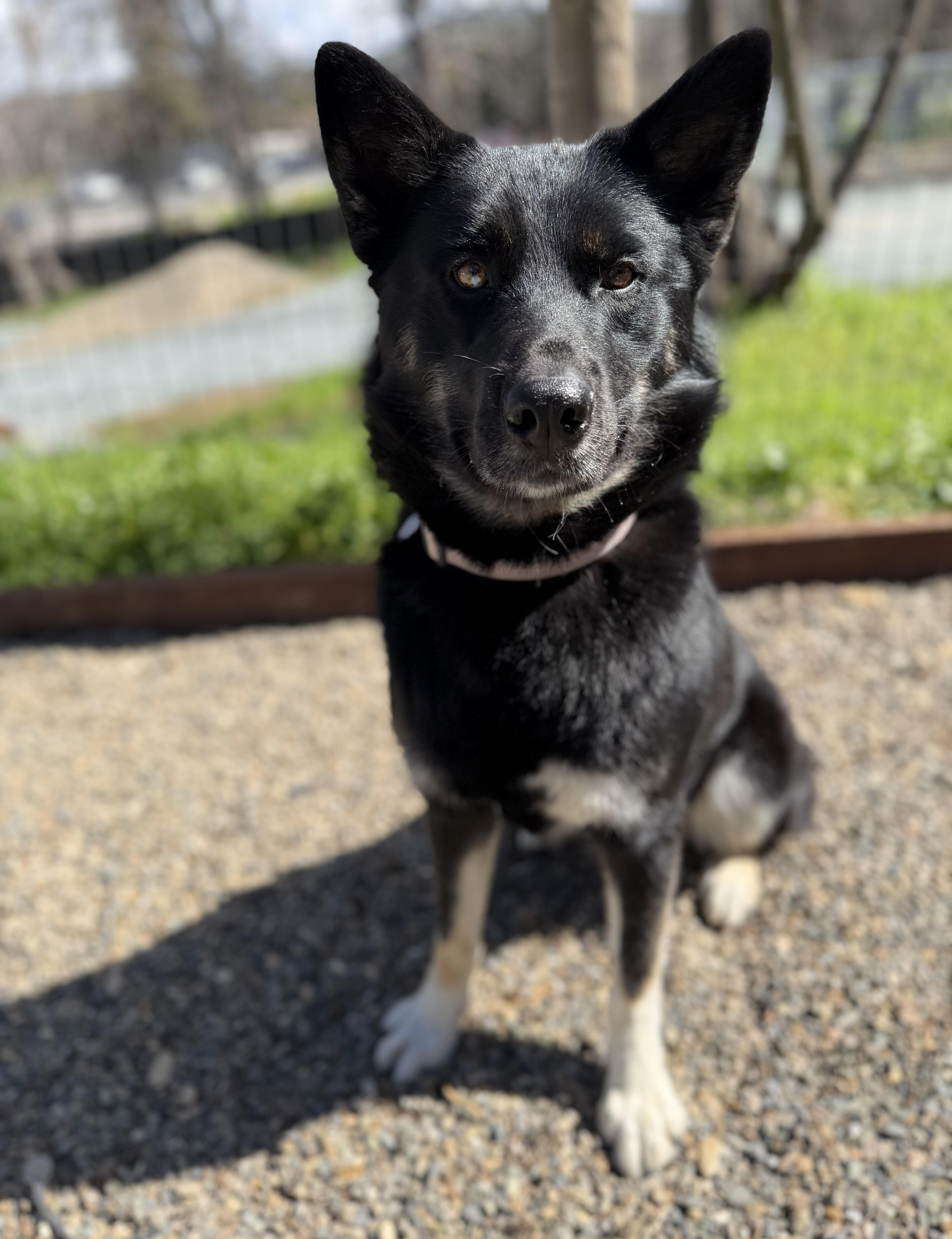 Pablo — thumbnail 2