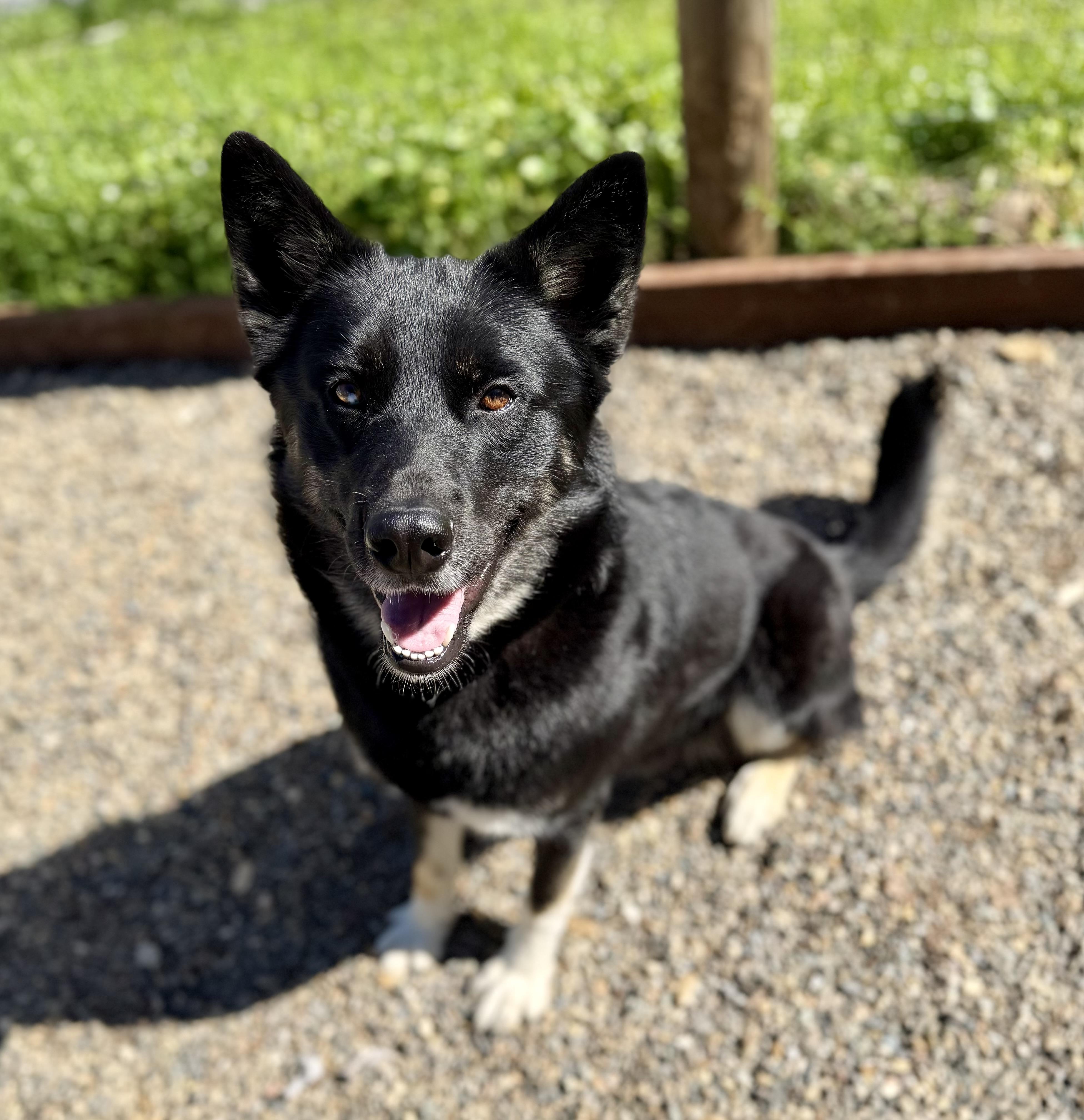 Pablo — thumbnail 3