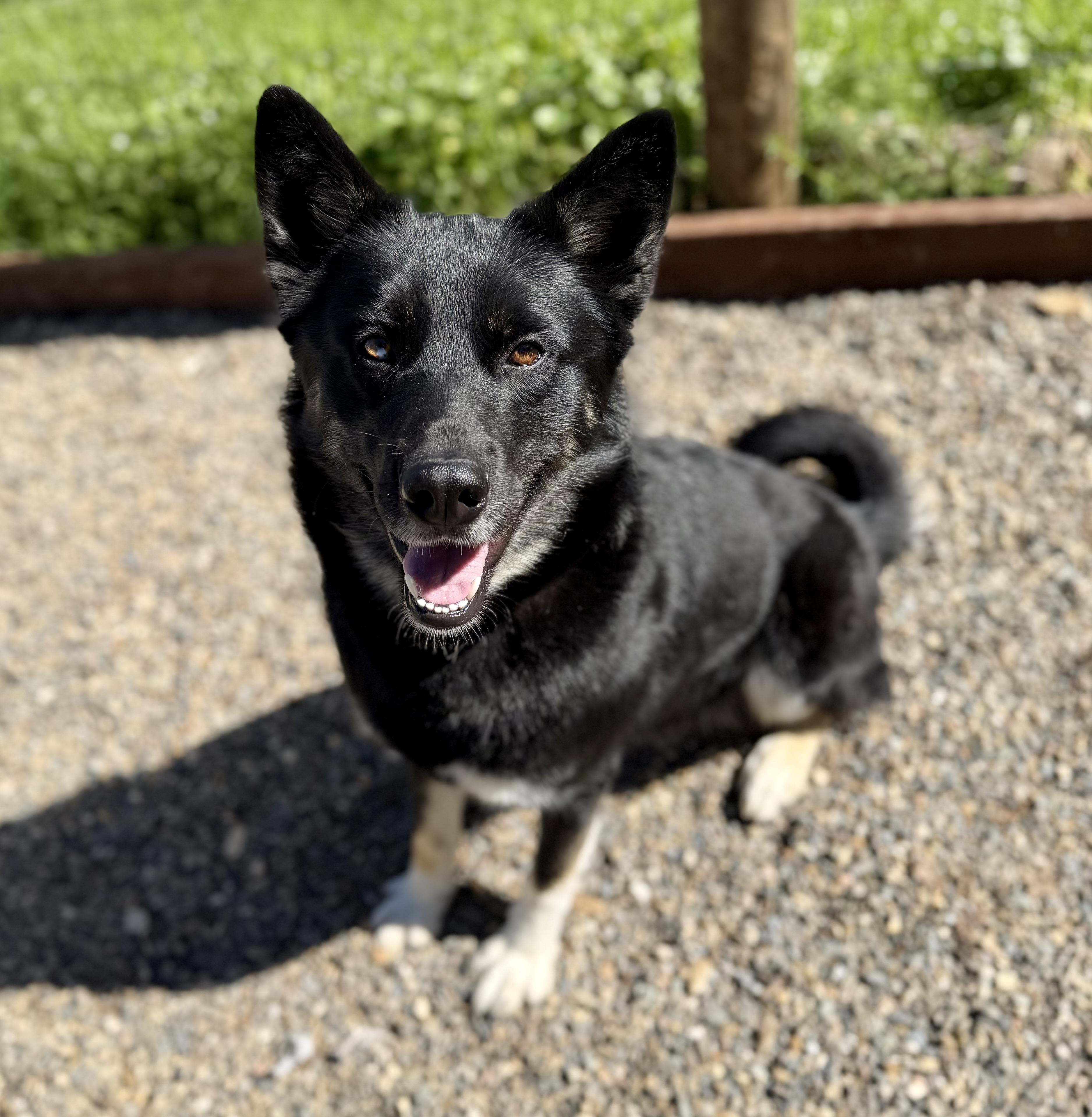 Pablo — thumbnail 4